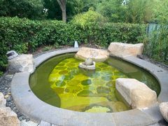 -溧阳天目湖天沐温泉