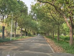 -同里国家湿地公园