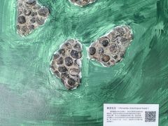 -中国第四纪冰川遗迹陈列馆