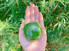 -华东政法大学第二食堂(松江校区)