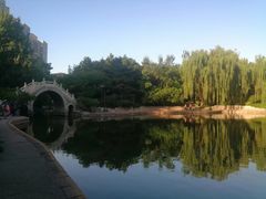 -团结湖公园