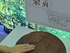 -呀诺达热带雨林