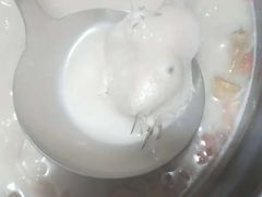 -探窝·竹笙椰子鸡(杨箕店)