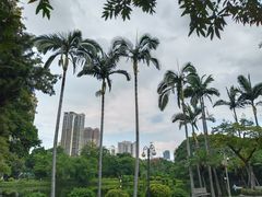 -晓港公园