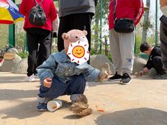-北戴河集发农业梦想王国