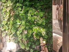 -德全心悦酒店(北京金台路地铁站店)