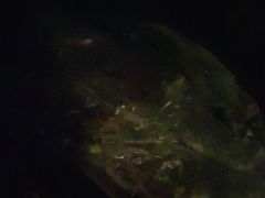 -夫妻串店(和睦路店)