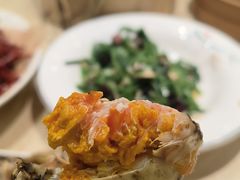 -杨氏青龙虾·羊蝎子(珠江路店)