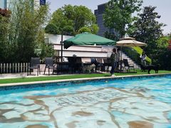 -汪说喵讲宠物乐园宠物酒店(红星美凯龙店)