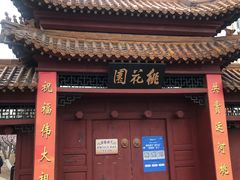 -桃花堤公园
