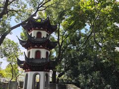 -和满堂·经典本帮菜(川沙古镇店)