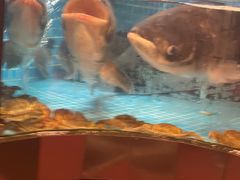 -湘湖大院(越王路店)