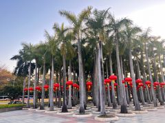 -深圳国际园林花卉博览园