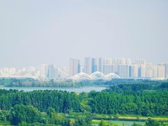 -哈尔滨大剧院