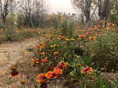 -静莲斋(仙人洞店)