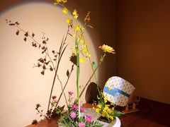 -希望日本料理(保利香槟花园店)