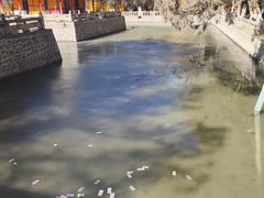 -罗布林卡