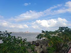-上海滨江森林公园