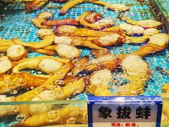 -驻海渔市(置信店)