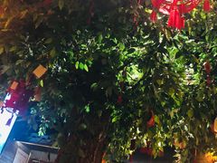 -愿者上钩(龙华华润万家店)