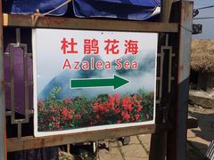 -瑞安圣井山景区