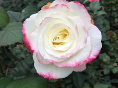 -人民公园(罗湖区)