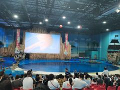 -华夏文旅海洋公园