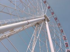 -顾村公园