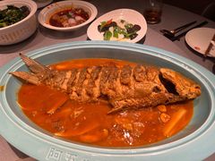 -阿五黄河大鲤鱼(英协路店)