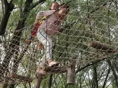 -东方巨龟苑景区