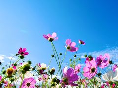 -库伦旗银沙湾旅游景区