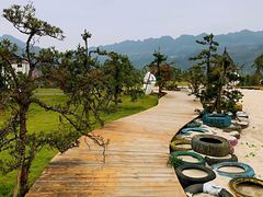 -娄山关景区