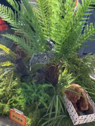 -IMON·HANSA潮玩玩偶毛绒玩具(通州万象汇店)