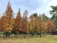 景点-晓港公园