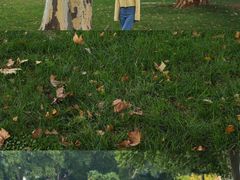 -河南省黄河迎宾馆