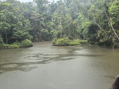 -热带雨林自然公园