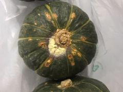 -座上客(0277天润城第五街区店)