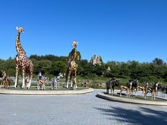 -北京野生动物园