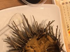 -海胆小馆(东北水饺·春柳店)