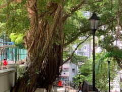 -香港佐治五世纪念公园