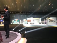 -新加坡航空公司(ION)