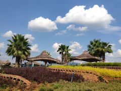 -鸿浩扒猪脚米线