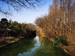 -同里国家湿地公园