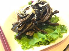 -圆山大饭店-圆苑餐厅