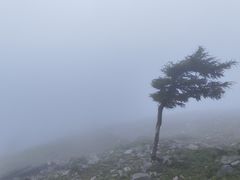 -灵山