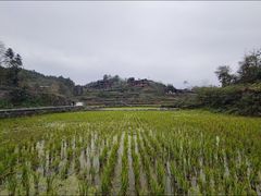 -矮寨·十八洞·德夯大峡谷景区