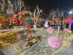 -嬉象谷