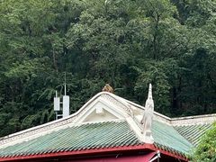 -黔灵山公园