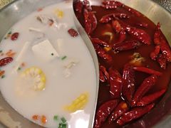 -麻田会 ·鲜活现烹·牛蛙火锅(珠江新城维家思广场店)