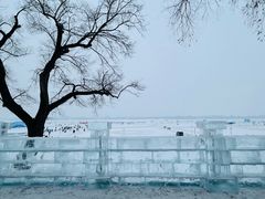 -人民防洪胜利纪念塔